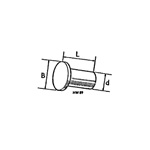 Rivet - Flat Head