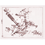 Front Suspension