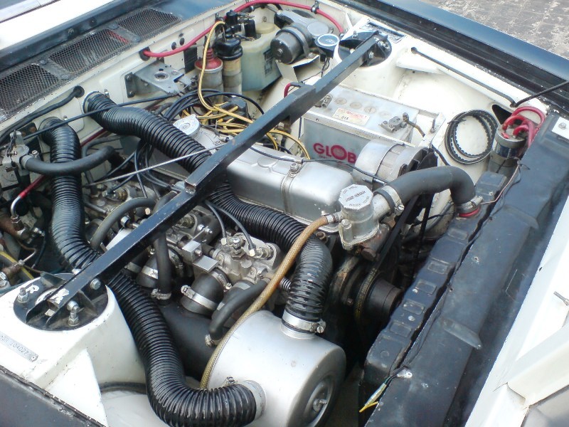World Cup Works Specification Strut Brace !